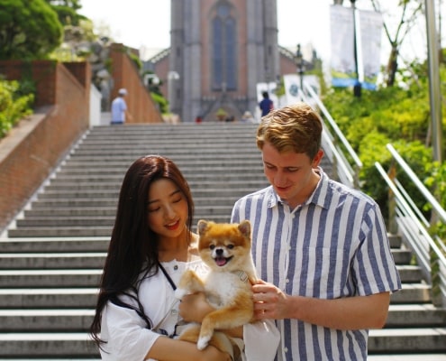 One and only Dog-optimized Seoul City tour