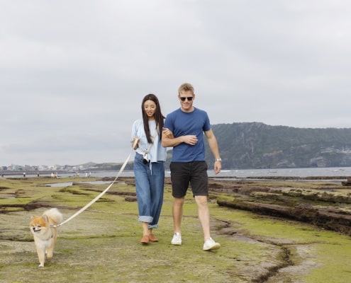 2D1N Jeju’s Dog-optimized Compressed Tour