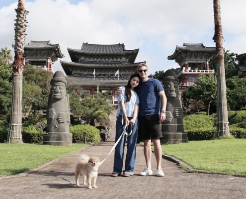 East Jeju’s One and Only Dog-optimized Tour