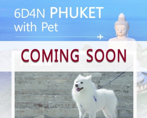 6D4N PHUKET WITH PET