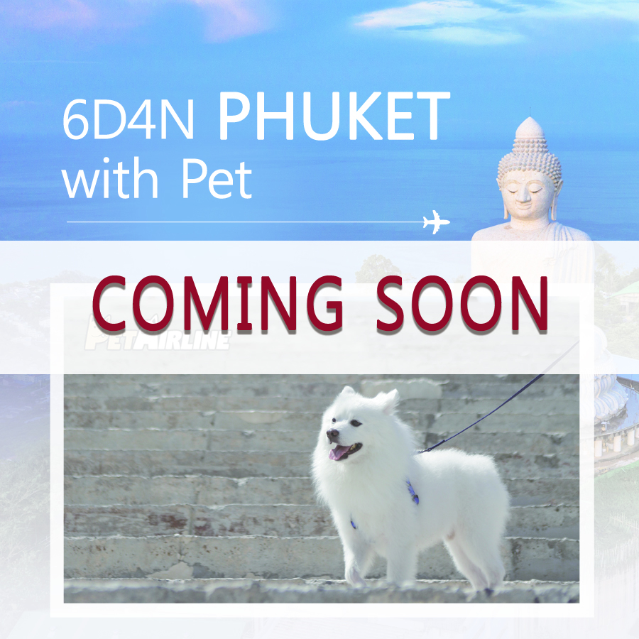 6D4N PHUKET WITH PET