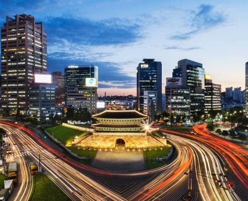 One and only Dog-optimized Seoul City tour