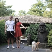 West Jeju’s One and Only Dog-optimized Tour