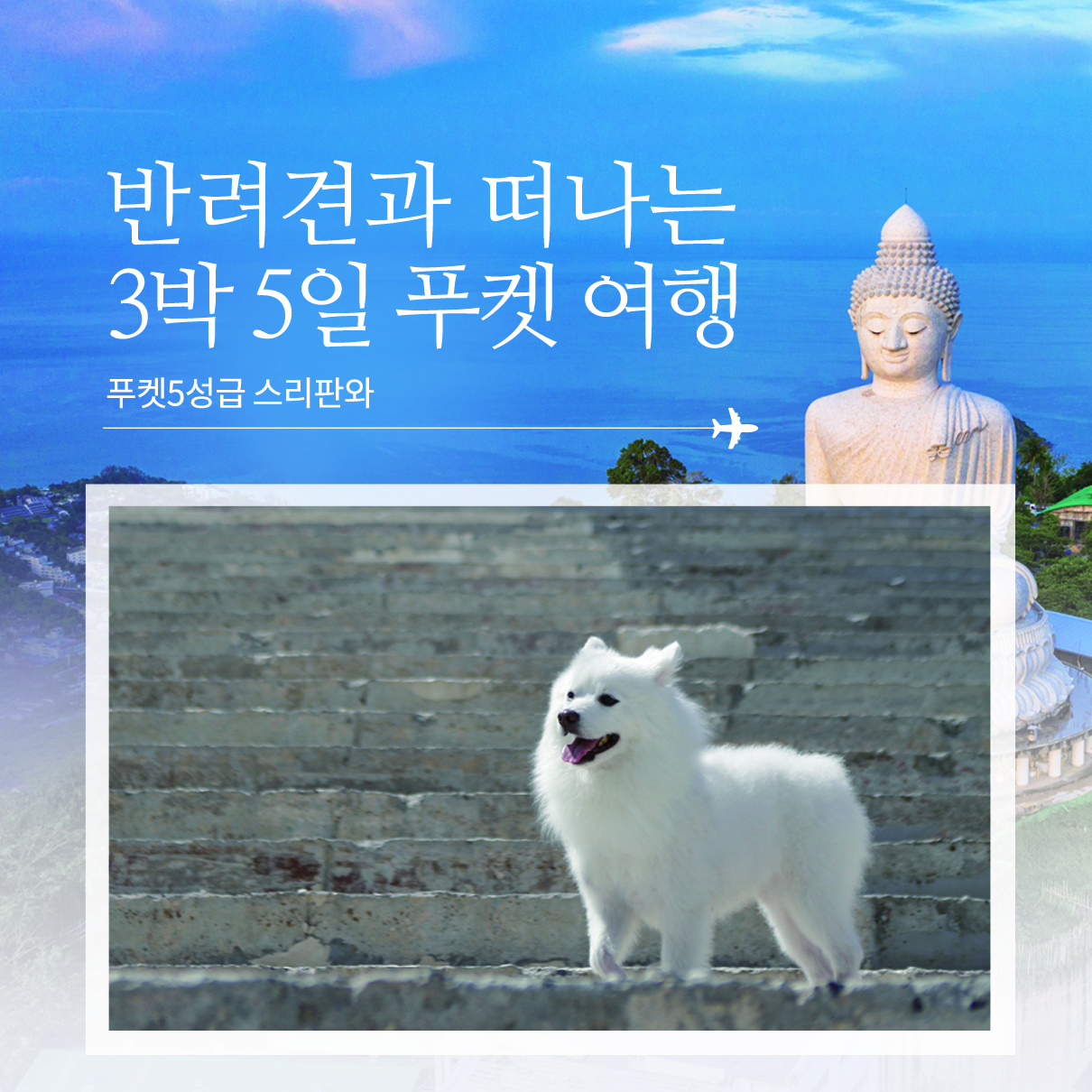 반려견과 떠나는 3박 5일 푸켓여행(스리판와)