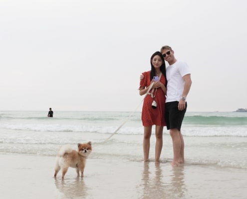 West Jeju’s One and Only Dog-optimized Tour