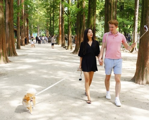 One and Only Dog-optimised day-trip from Seoul to Nami-island&Dumulmeori