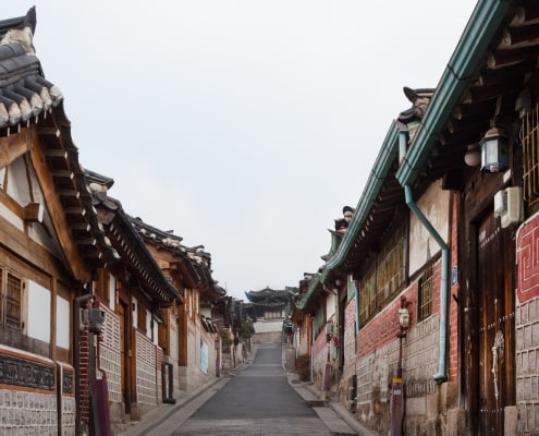 One and only Dog-optimized Seoul City tour