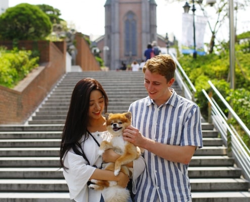 One and only Dog-optimized Seoul City tour