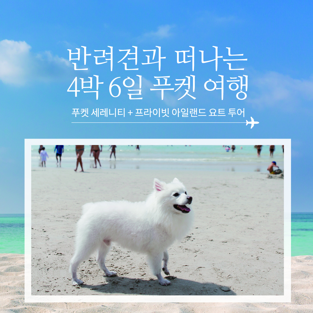 반려견과 떠나는 4박 6일 푸켓여행(세레니티/요트투어)