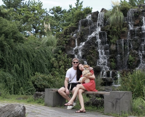 West Jeju’s One and Only Dog-optimized Tour