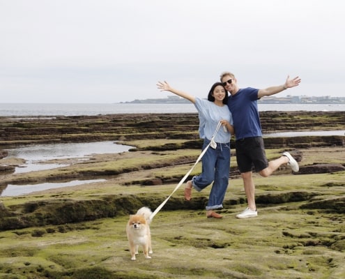 East Jeju’s One and Only Dog-optimized Tour