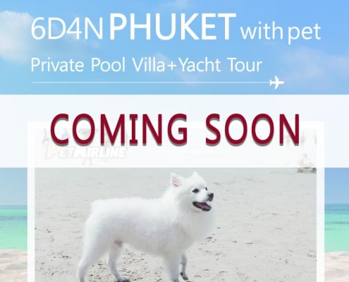 6D4N Phuket With Pet Private Pool Villa And Yacht Tour