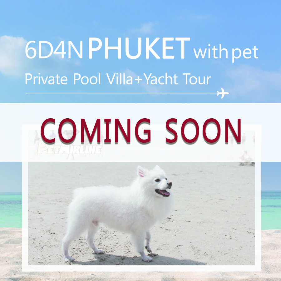 6D4N Phuket With Pet Private Pool Villa And Yacht Tour