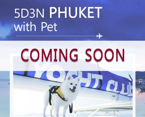 5D3N PHUKET with Pet