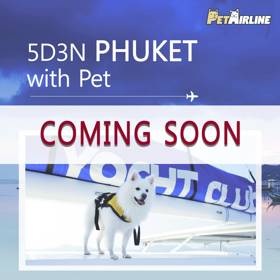 5D3N PHUKET with Pet