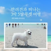 반려견과 떠나는 3박 5일 푸켓여행(푸켓 세레니티리조트)