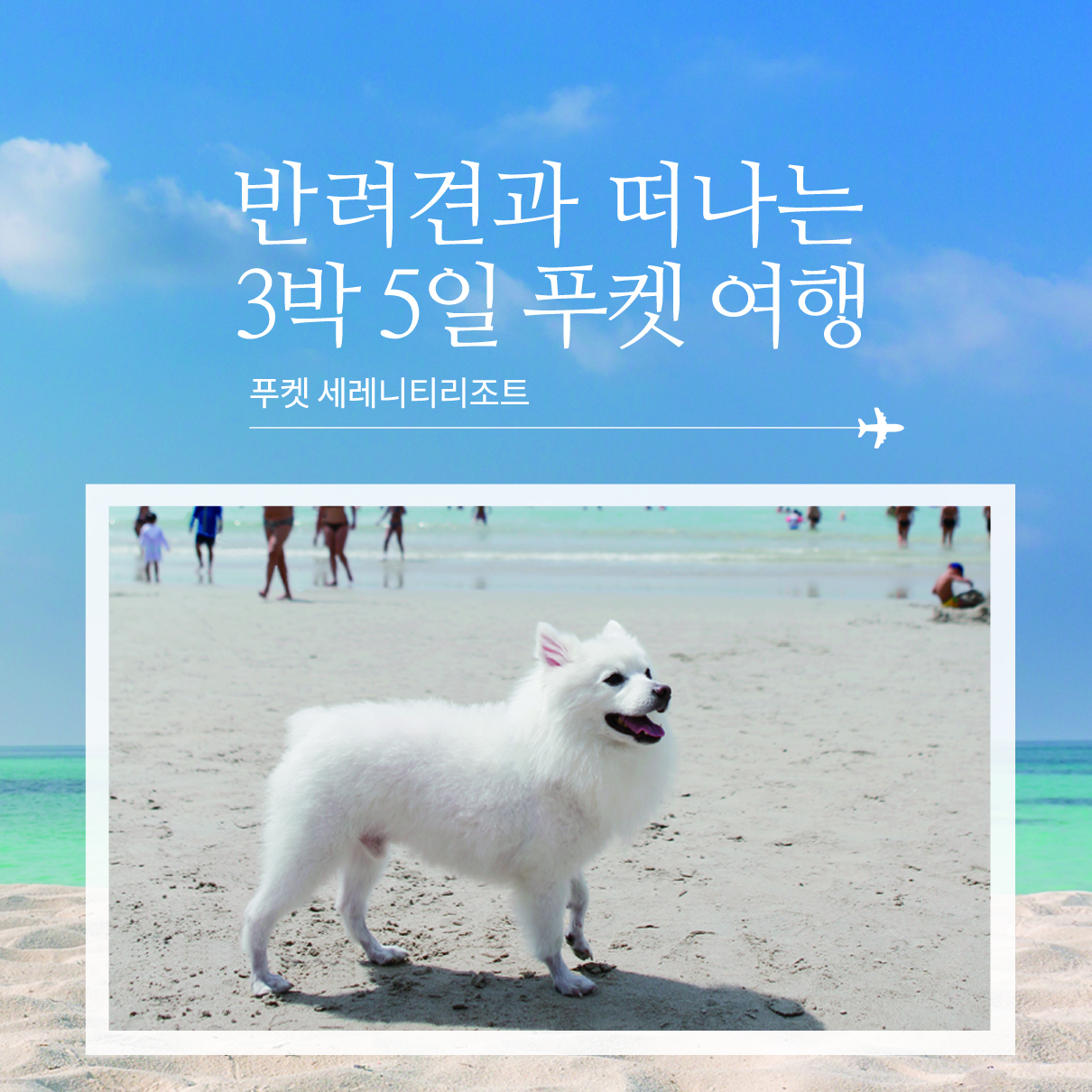 반려견과 떠나는 3박 5일 푸켓여행(푸켓 세레니티리조트)