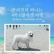 반려견과 떠나는 4박 6일 푸켓여행